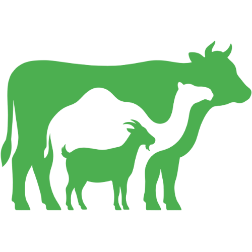 Al Karama